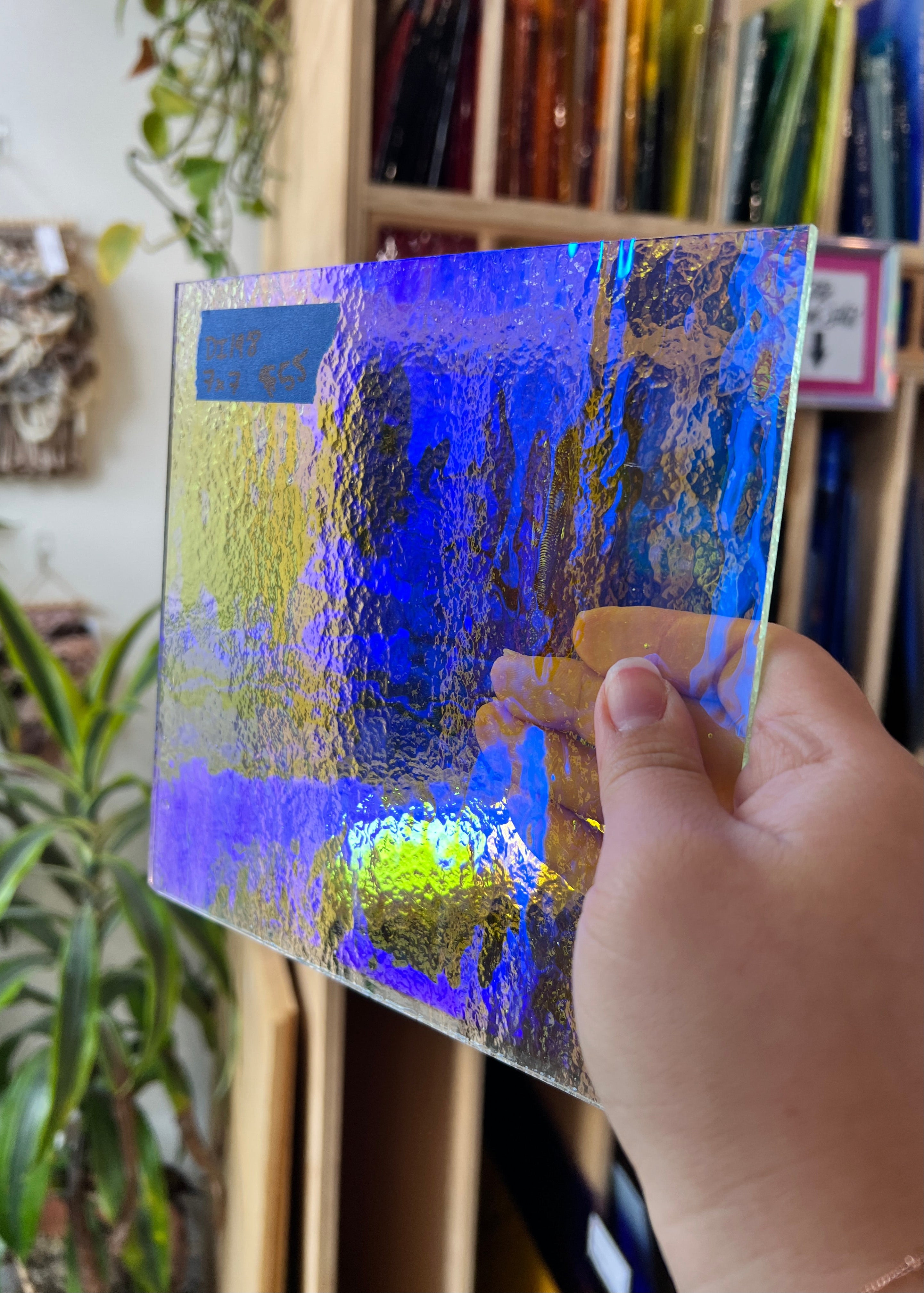 Blue/Yellow Transparent Dichroic Colorado Glass Works DI198 (7x7in)