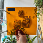 Medium Amber Transparent Oceanside Fusible 96 COE (110.8F) Sheet Glass Colorado Glassworks OS-MEDAMBER-T (12x12in)