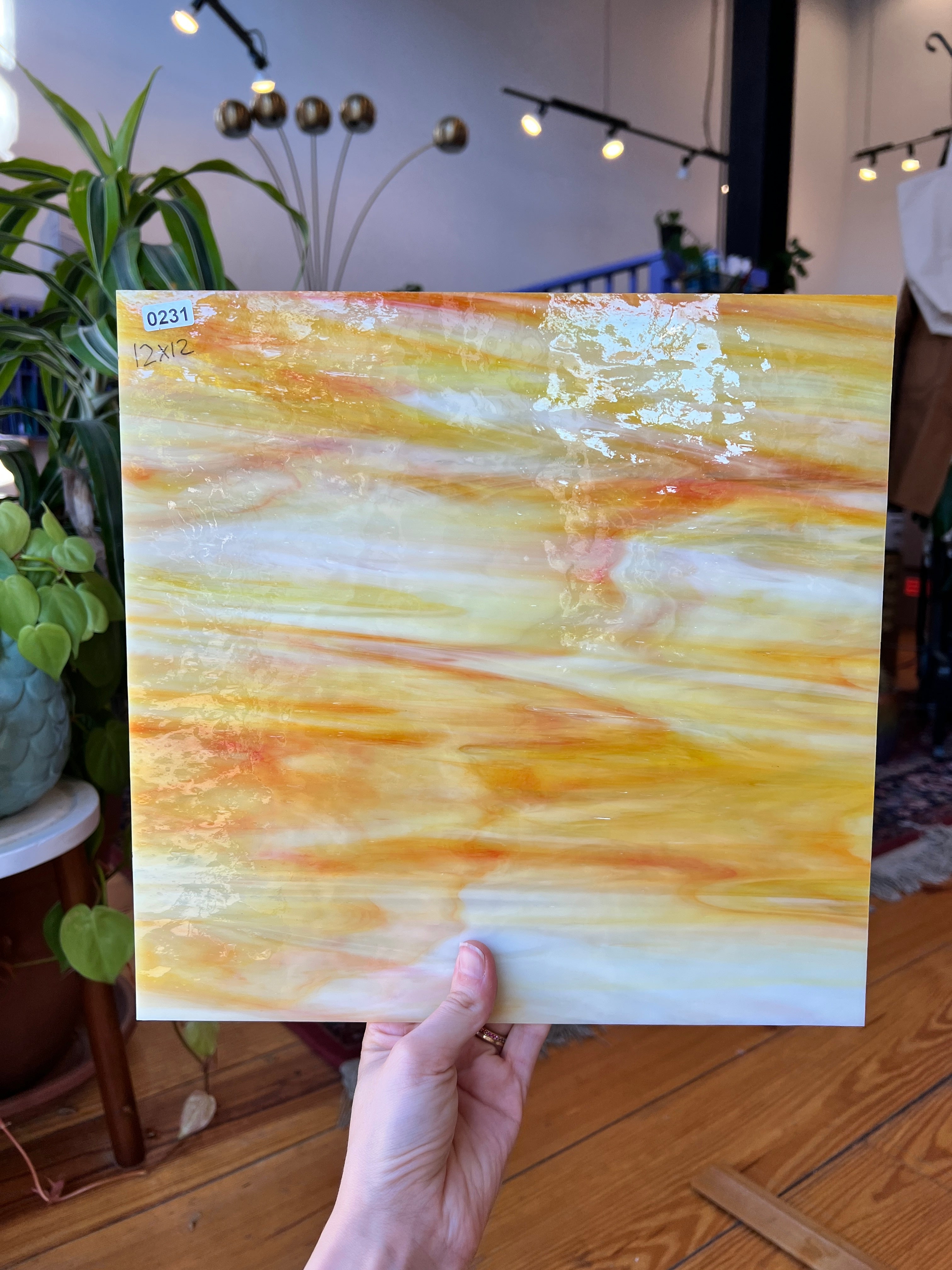Pearl Mimosa Oceanside