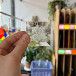 Glue Chip 2 in. Square Bevel Tools Colorado Glass Works