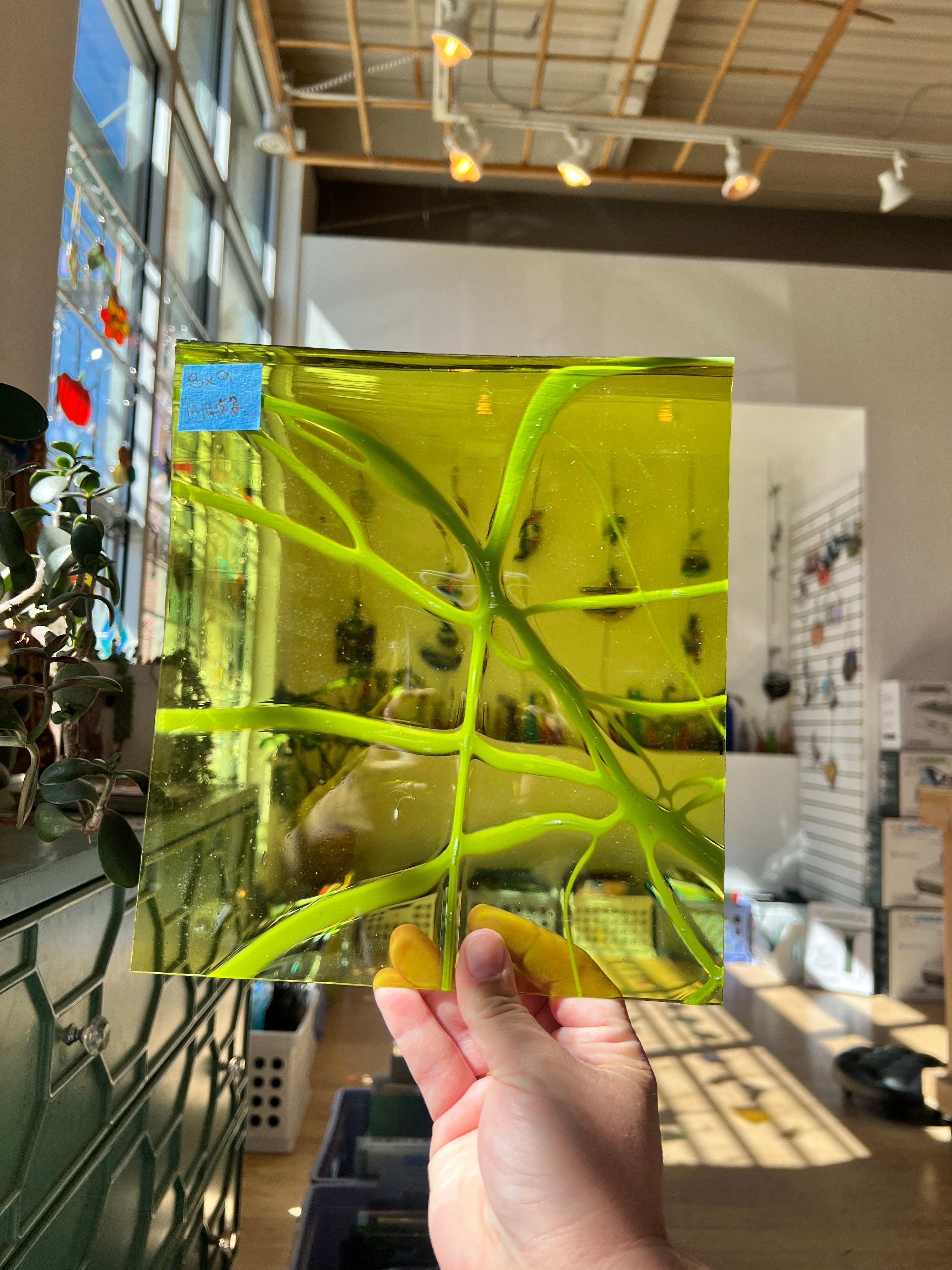 Electric Lime COGW by Monarch Glass Sheet Glass Colorado Glass Works 9x8in (MA252)  