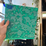 Teal Copper Green 324 Mottled Oceana Sheet Glass Colorado Glassworks