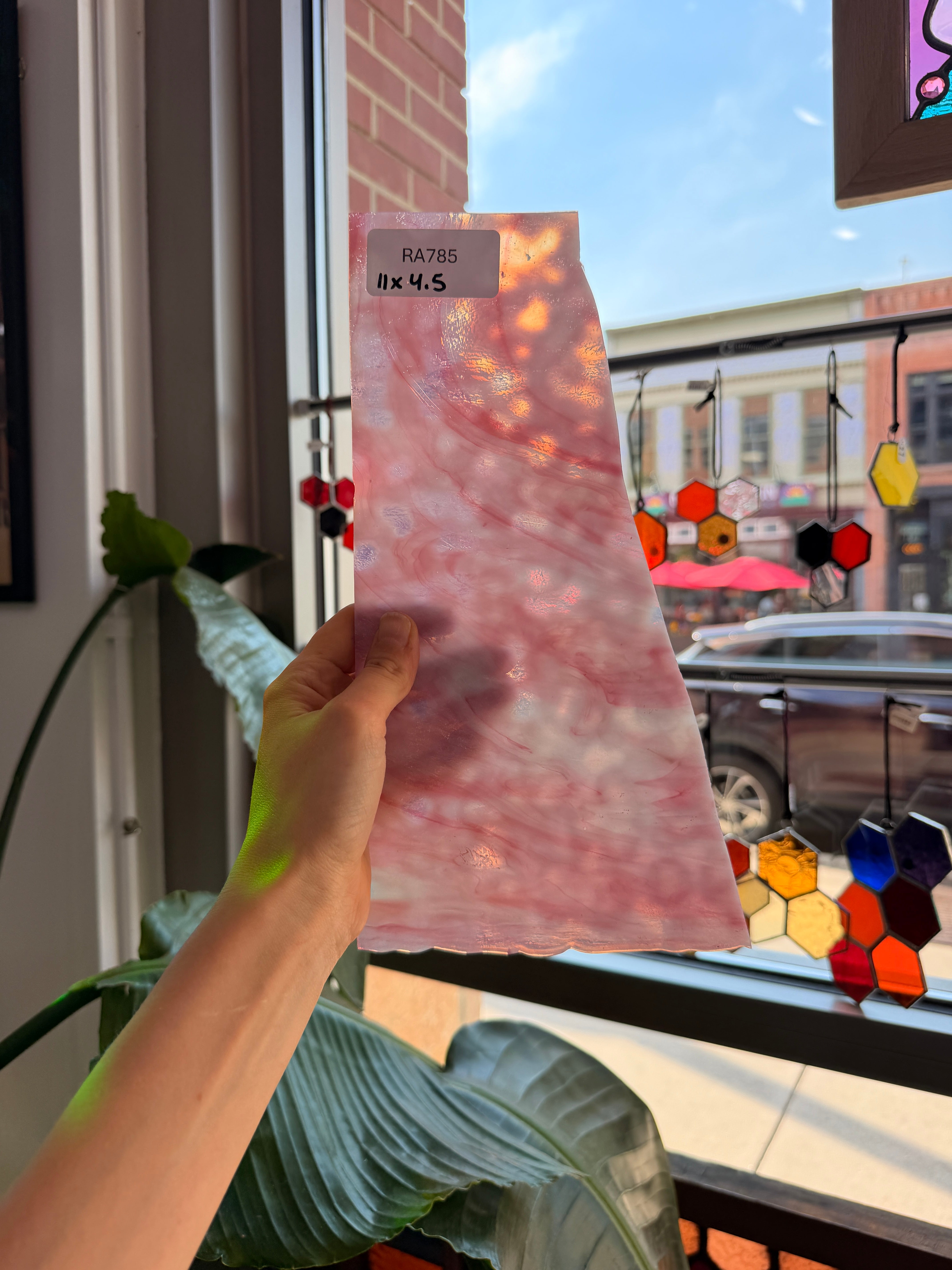 Fresh Blooms - Patreon Vault