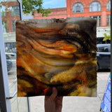 Koi / White with Orange/ Yellow and Black Highlights Radium Ripple Youghiogheny (UbY 58) Sheet Glass Colorado Glassworks