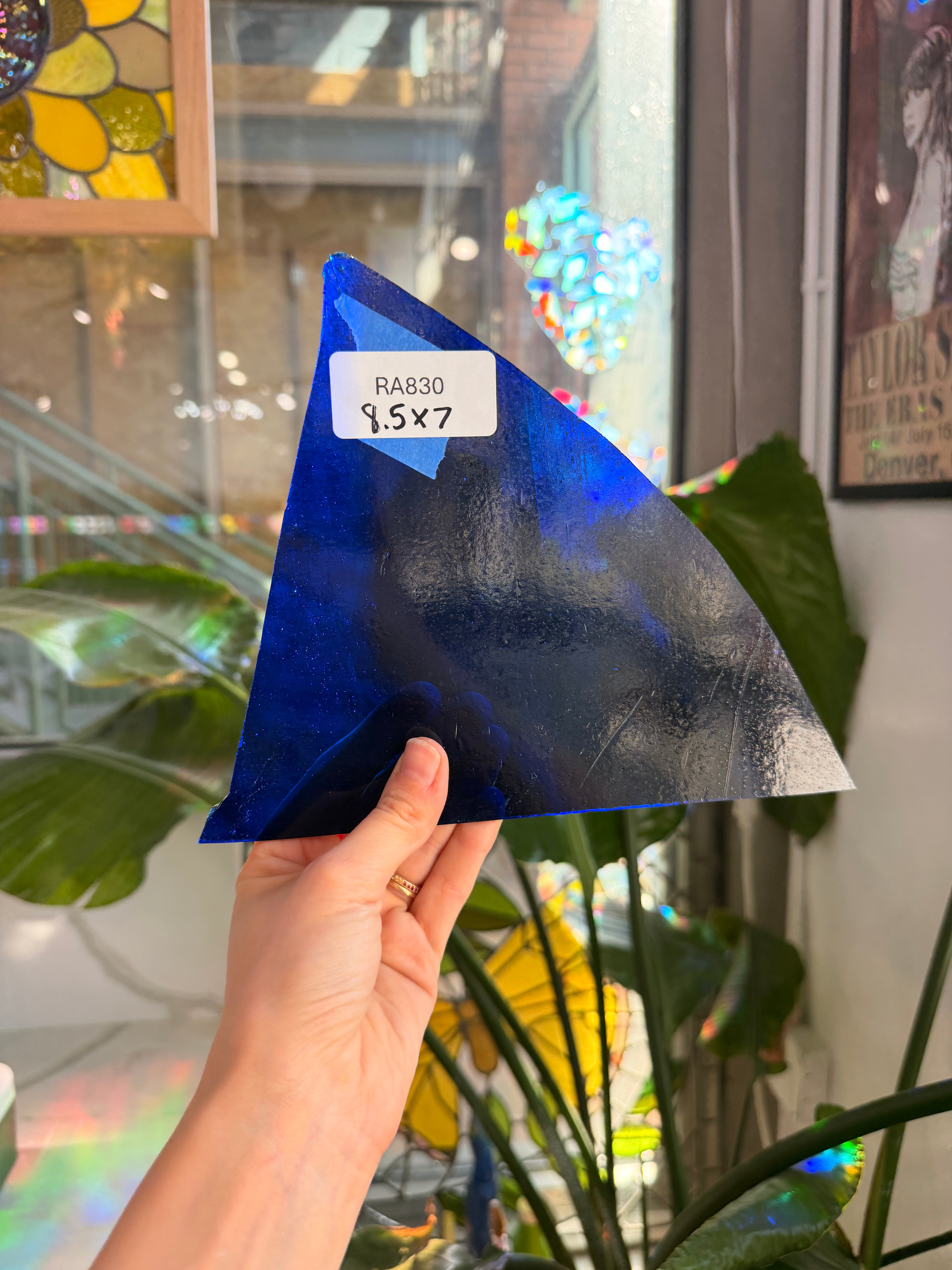 Shark Fin - Patreon Vault