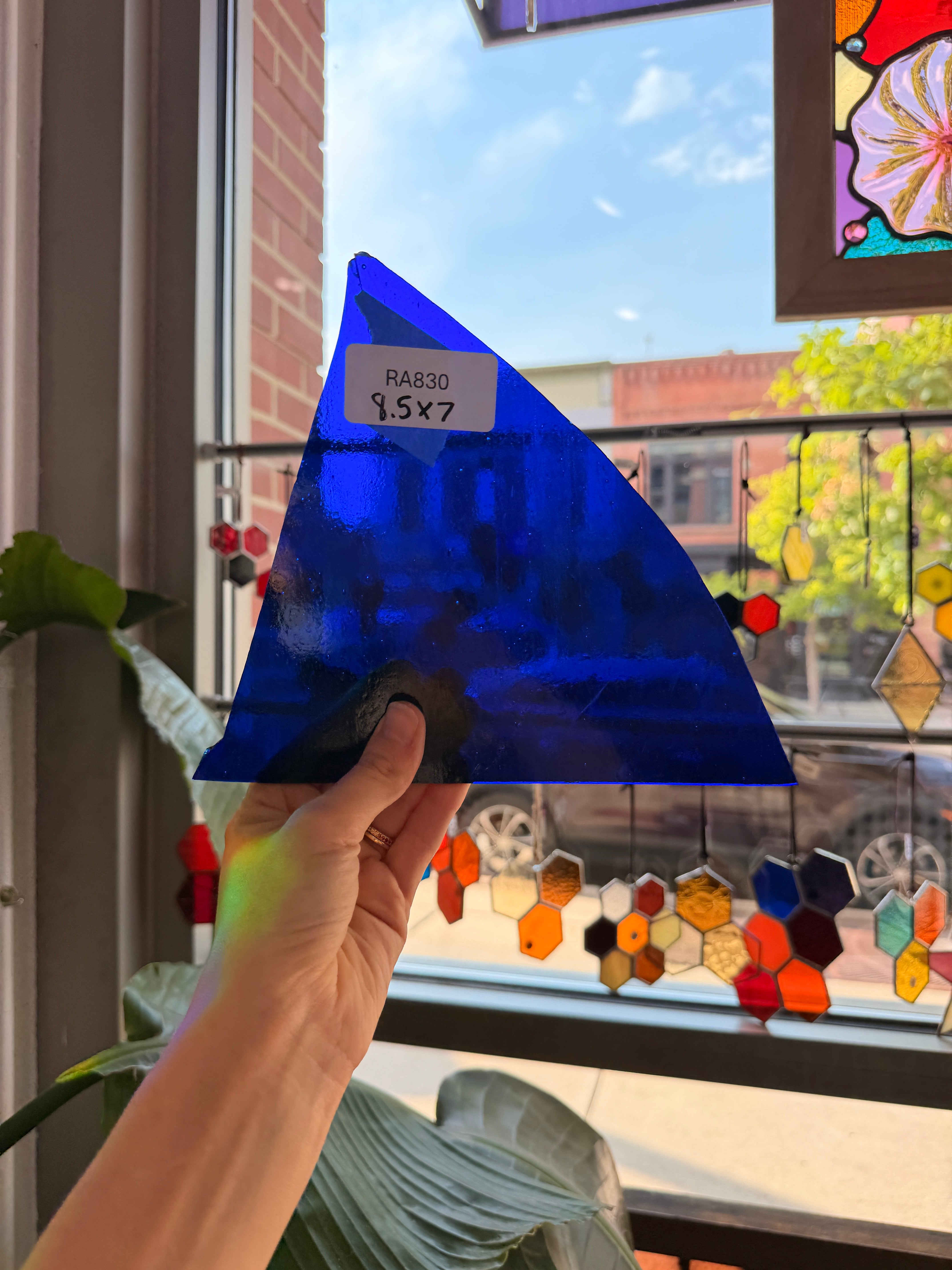 Shark Fin - Patreon Vault