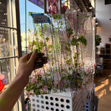 Weekend Gardening - Patreon Vault