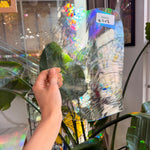 Bonsai Tree - Patreon Vault