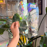 Bonsai Tree - Patreon Vault