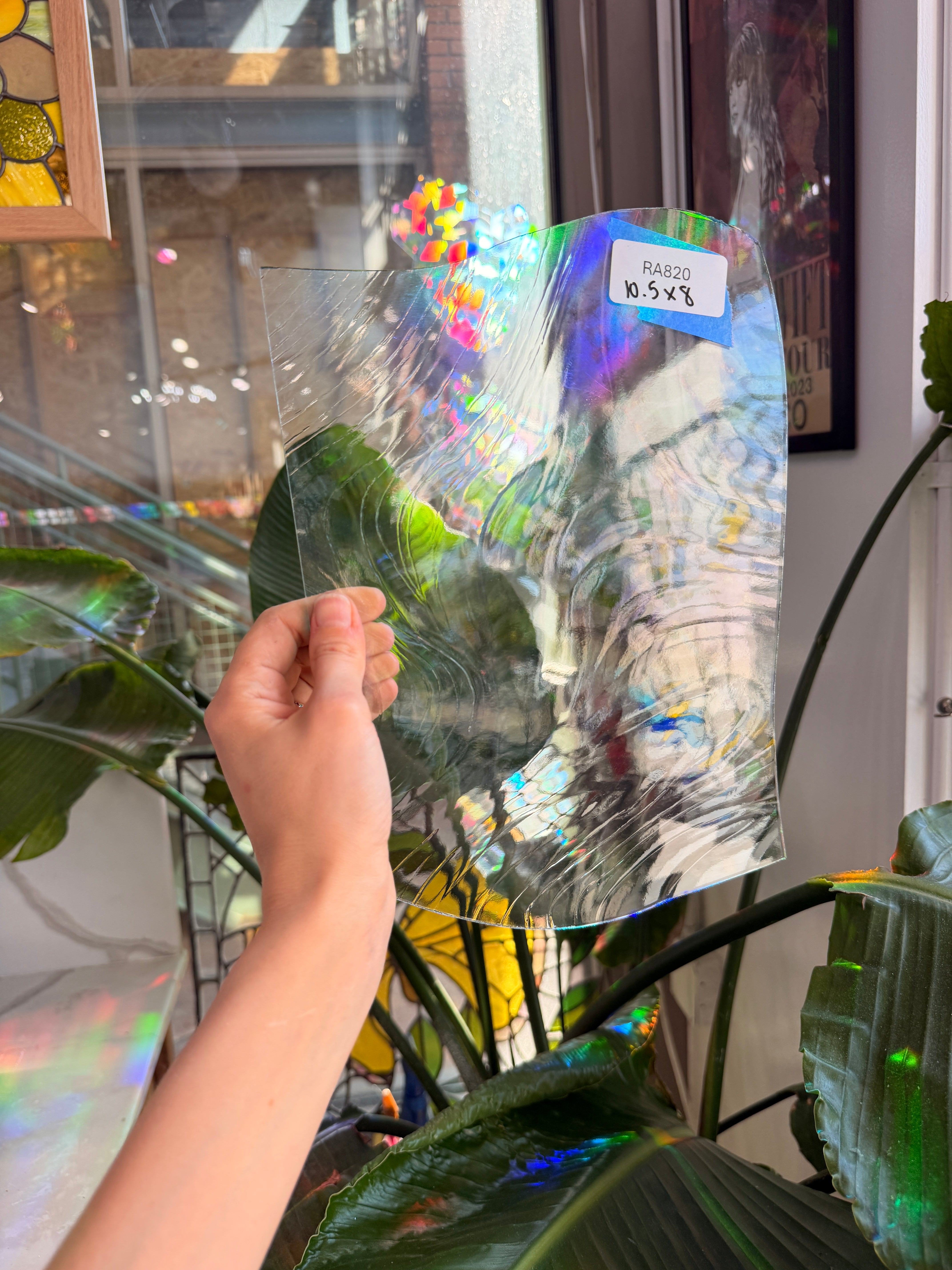 Bonsai Tree - Patreon Vault