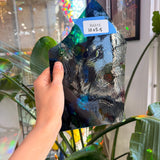 Jungle Leaves - Patreon Vault