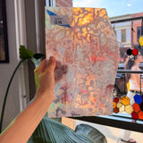 Microscopic Culture - Patreon Vault