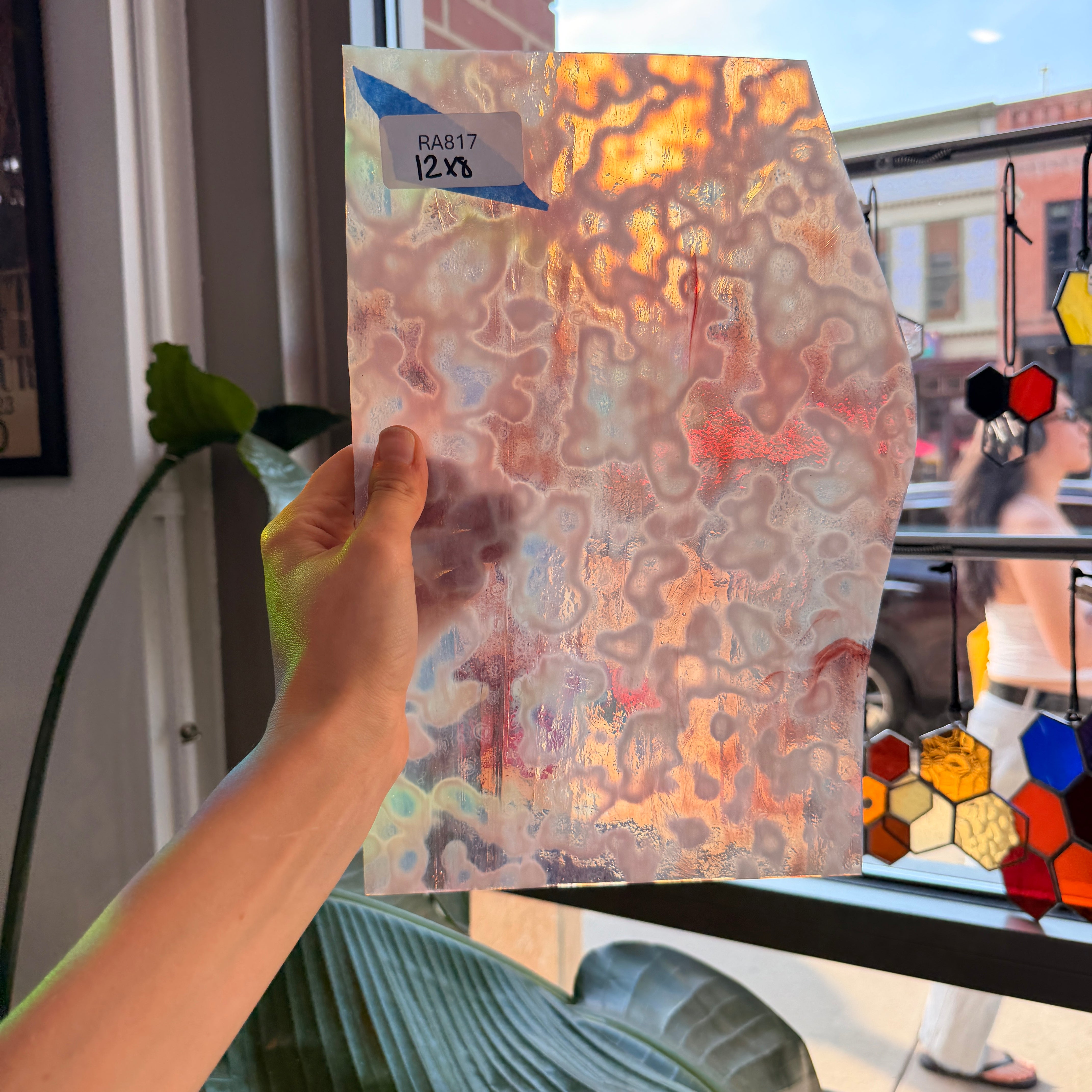 Microscopic Culture - Patreon Vault