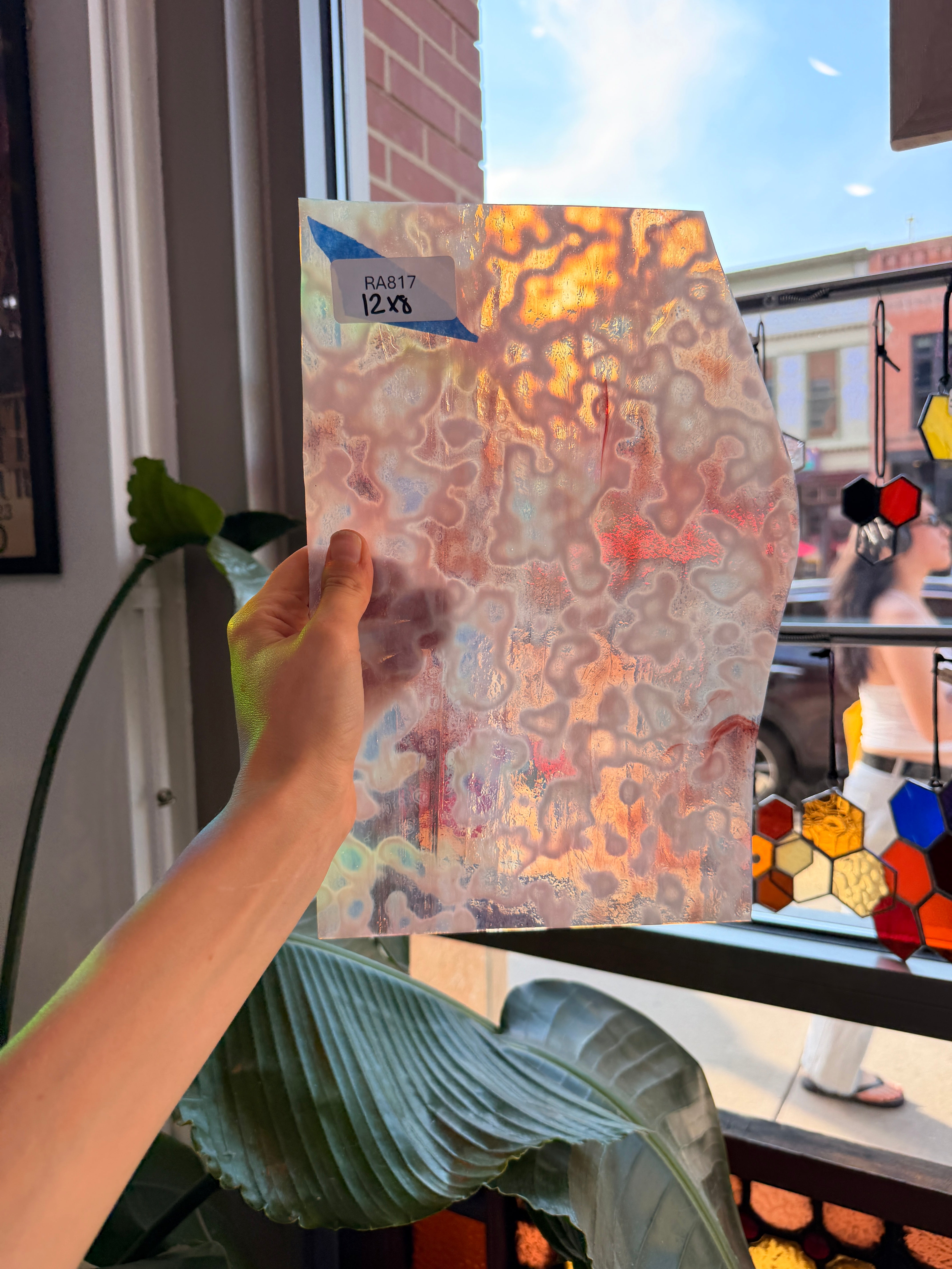 Microscopic Culture - Patreon Vault