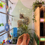 Light Green Mouth Blown Transparent Sheet Glass Colorado Glassworks