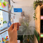 Clear Mouth Blown Bubbled Seedy Lamberts Sheet Glass Colorado Glassworks