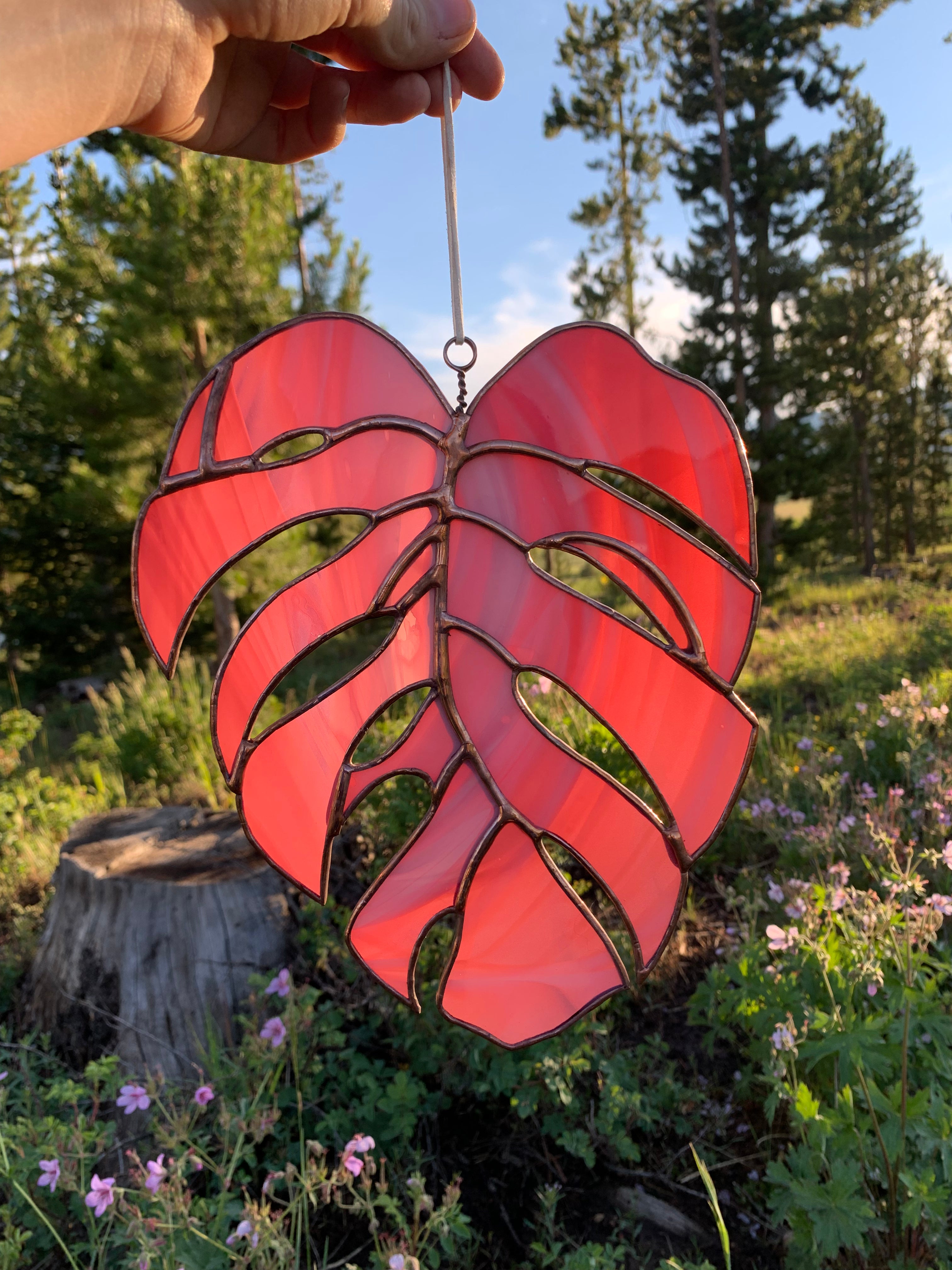Made To Order | COGW Monstera