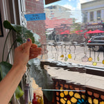 Clear WaterGlass Oceanside Fusible 96 COE