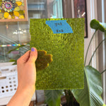 Pear/Lime Green Florentine Wissmach (WI 1146 FLOR) Sheet Glass Wissmach Glass 8x6in (WM-67833901)