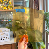 Light Amber Transparent Kokomo Sheet Glass Kokomo Glass 10.5x10in (score line accounted for) (KO-76676397)