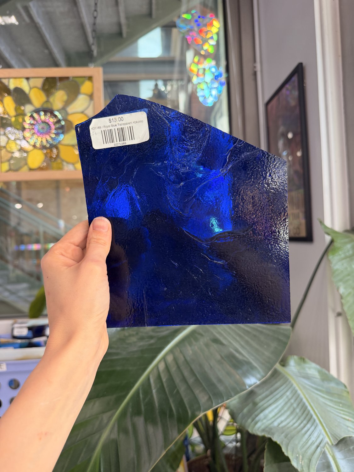 Royal Blue Transparent Kokomo