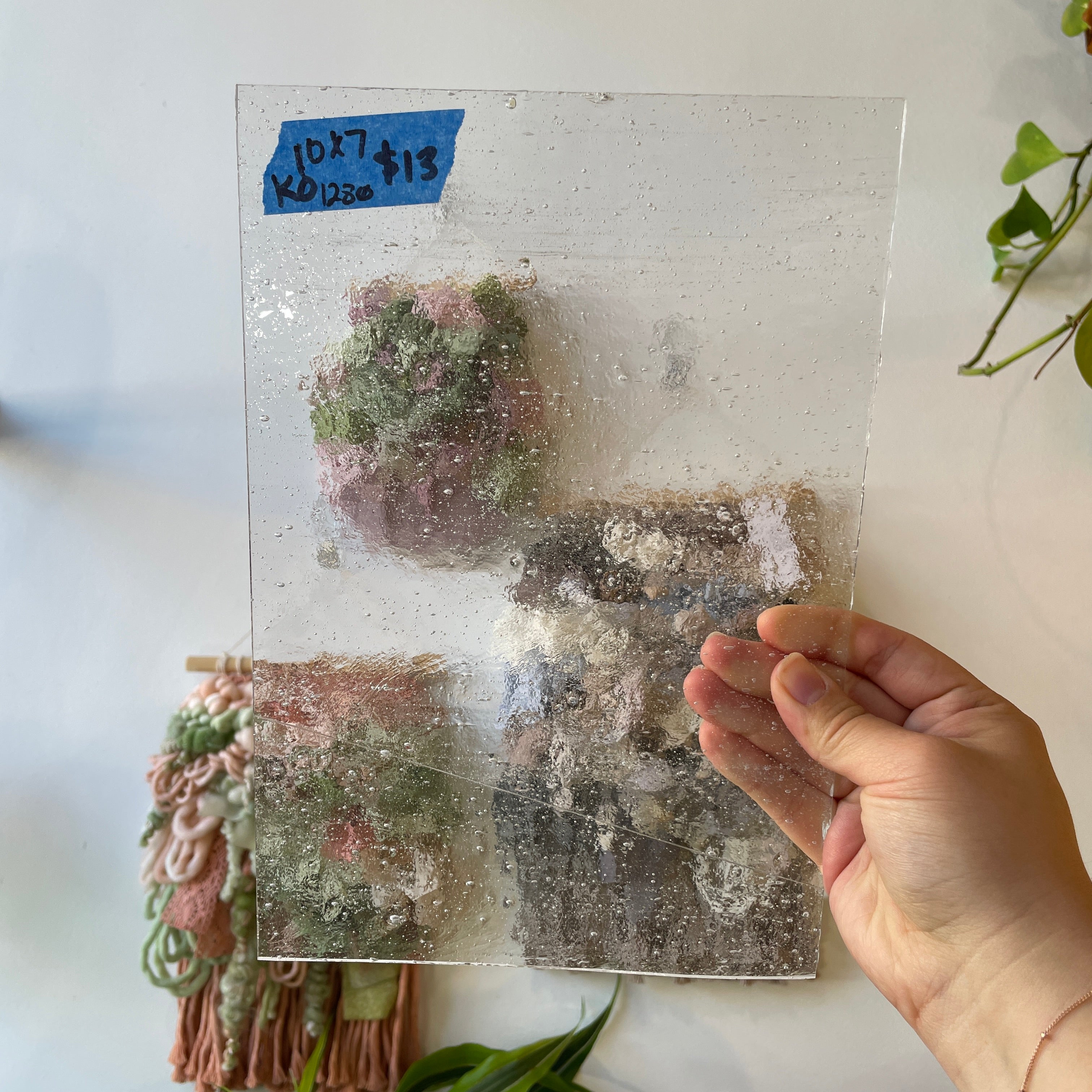 Clear Seedy Transparent Kokomo