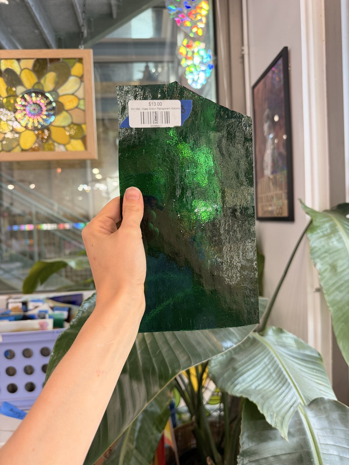 Deep Green Transparent Kokomo