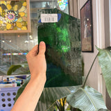 Deep Green Transparent Kokomo
