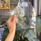 Clear Mouthblown Misc Glass – LA12