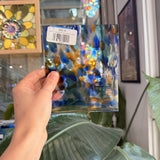 Coral Reef