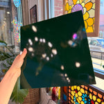 Opaque Dark Green Oceanside Fusible 96 COE (OGT 220.76F) Sheet Glass Colorado Glassworks