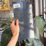 Dark Gray Opal Oceanside Fuisble 96 COE
