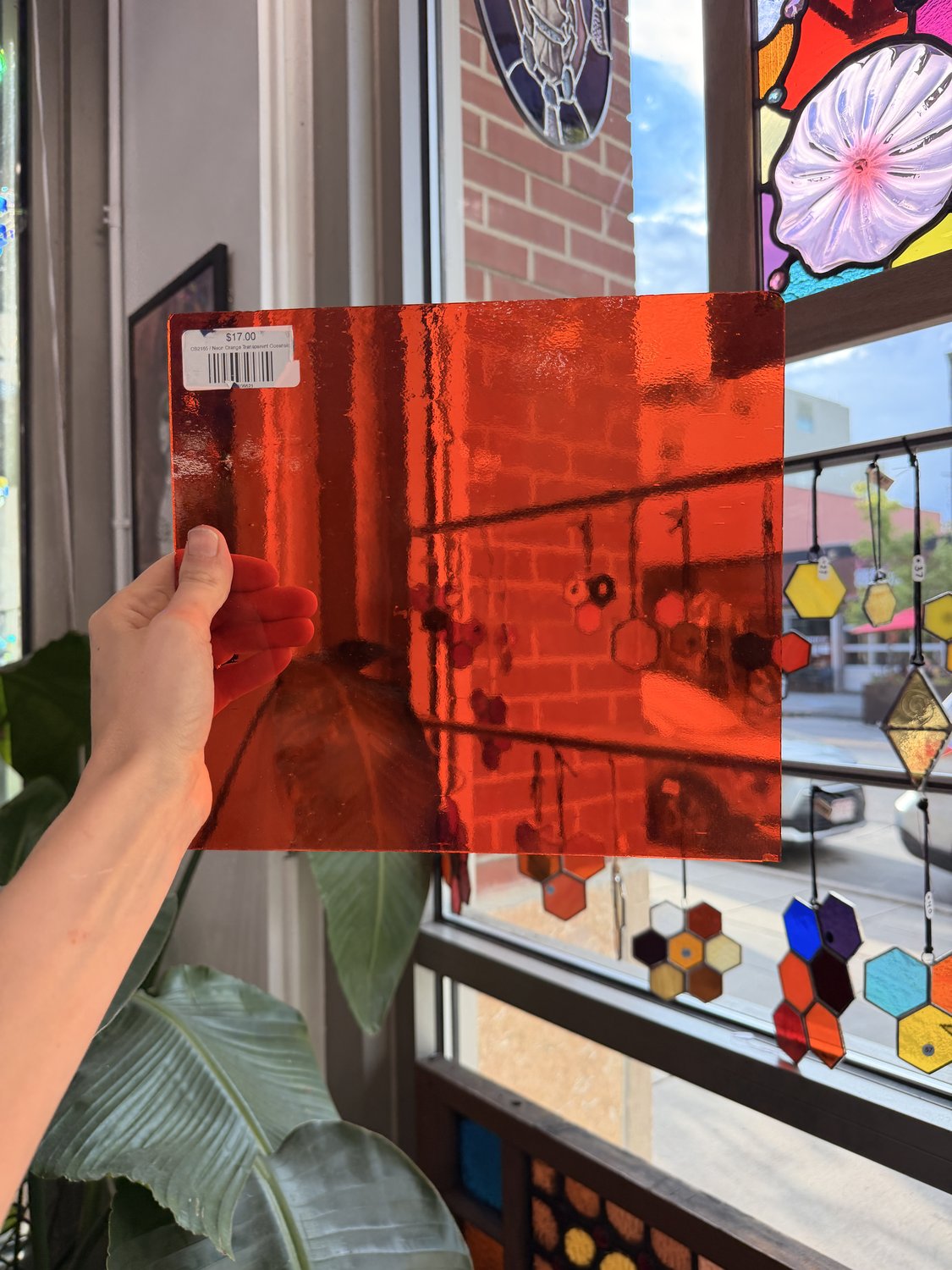 Neon Orange Transparent Oceanside