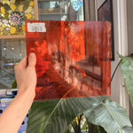 Neon Orange Transparent Oceanside