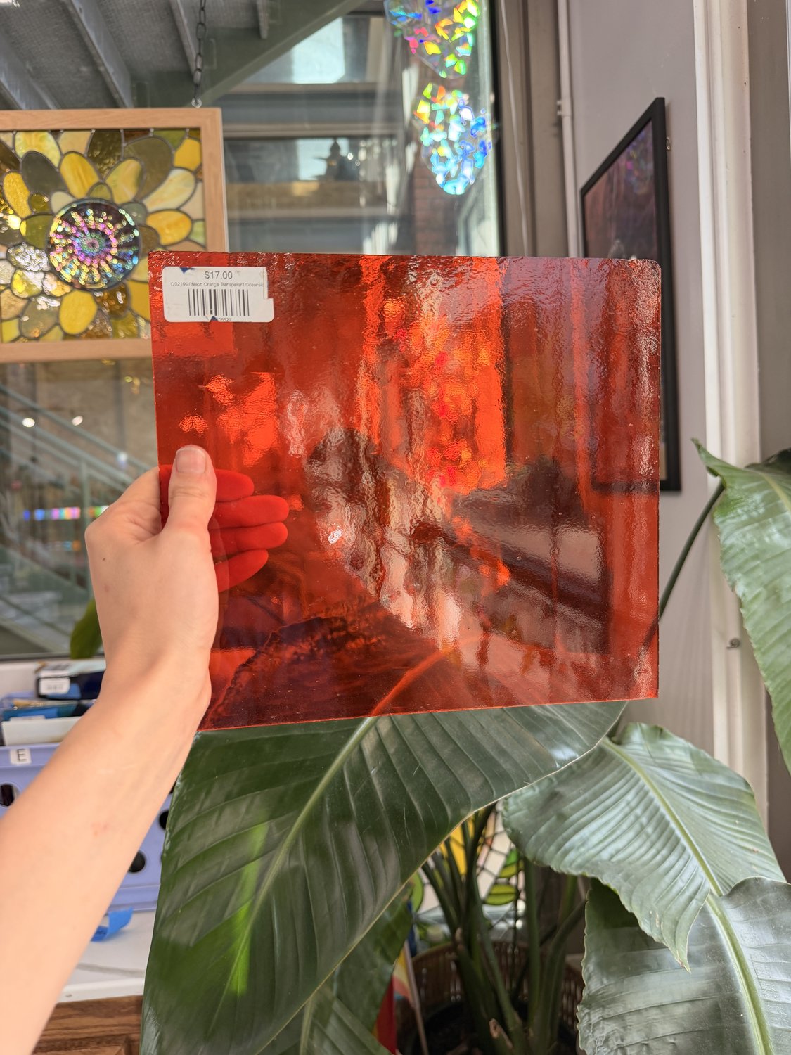 Neon Orange Transparent Oceanside