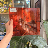 Neon Orange Transparent Oceanside