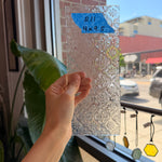 Clear Lace Morisco Clear Lace Morisco Clear Lace Morisco