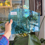 Sky Blue Waterglass Sheet Glass Colorado Glassworks RA158 (10.5x6.5in)