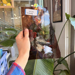 Brown Transparent Desag