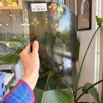 Transparent Olive Green Brown Sheet Glass Colorado Glassworks RA252 (12.5x6.5in)