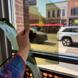 Transparent Olive Green Brown Sheet Glass Colorado Glassworks