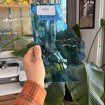 Tropical Blue Mouthblown Transparent Sheet Glass Mouth Blown Glass Default Title