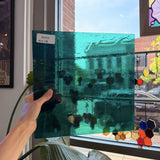 Teal Transparent Kokomo