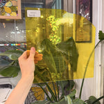 Transparent Yellow Spectrum – RA541