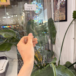 Clear Standard Glass