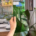 Vintage Green GNA Sheet Glass Colorado Glassworks Default Title