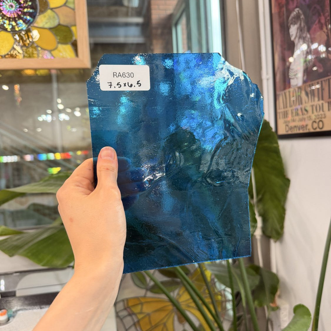 Medium Blue Transparent Kokomo