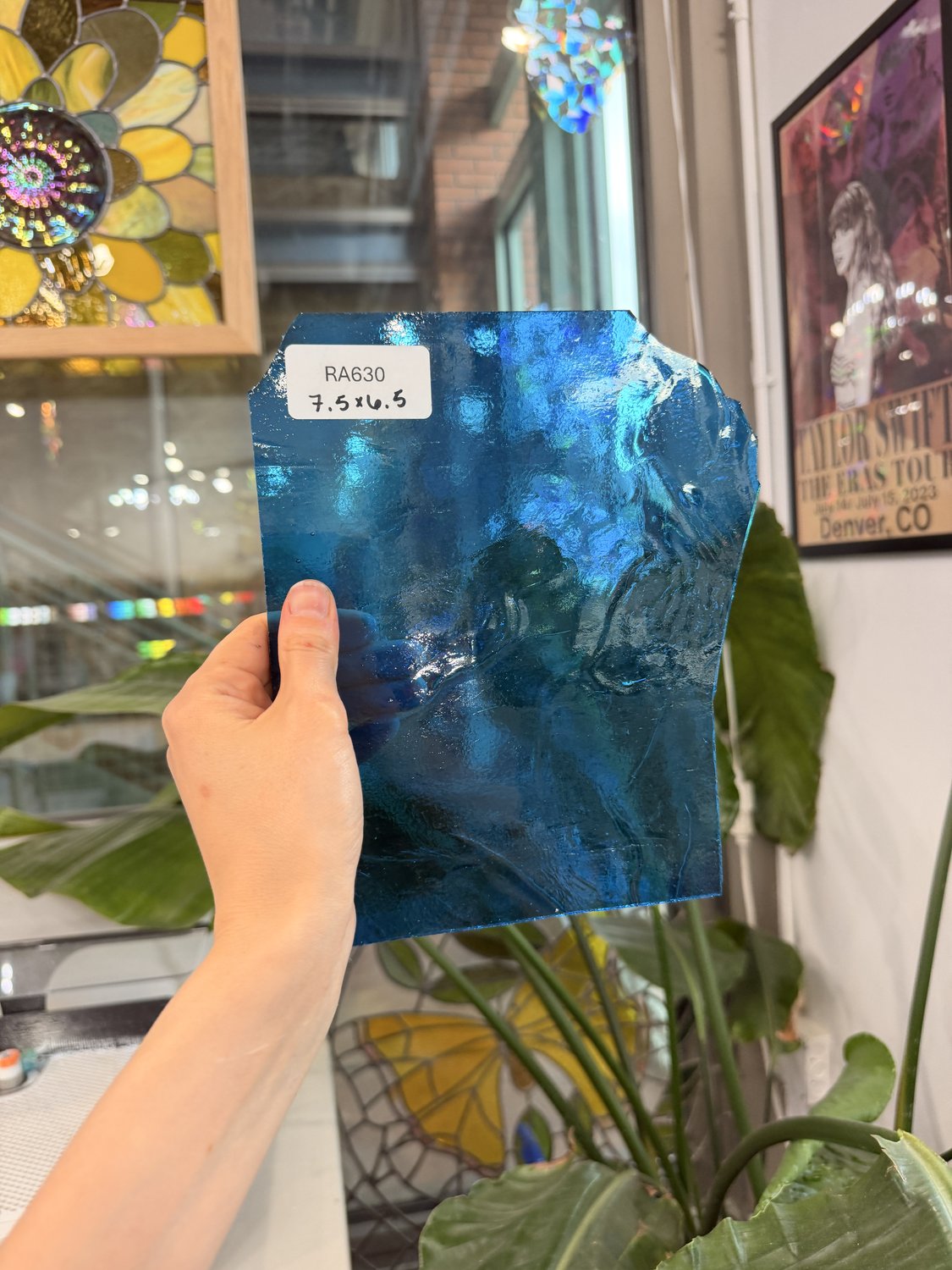 Medium Blue Transparent Kokomo