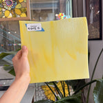 Mixed Yellow Bullseye – RA664