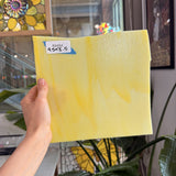 Mixed Yellow Bullseye – RA664